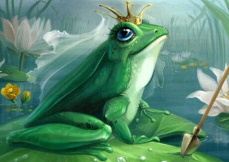 Ритуал на замужество: царевна-лягушка — Симорон всея Планеты