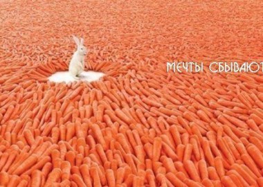 Ритуал Мечты сбываются — Симорон всея Планеты